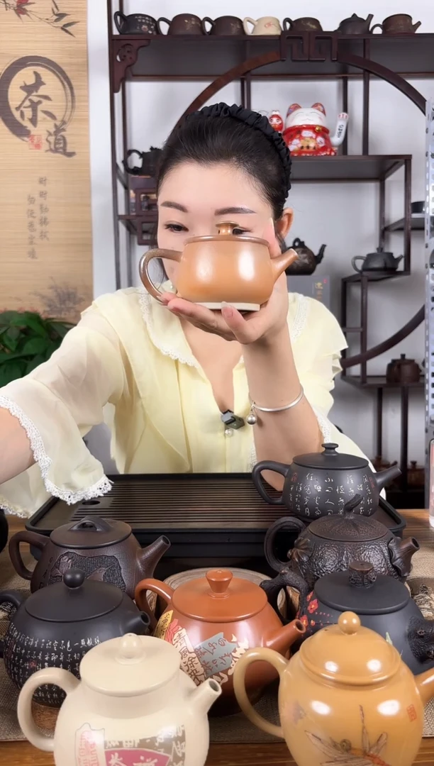 壶球孔 白泥柴烧  建水紫陶
