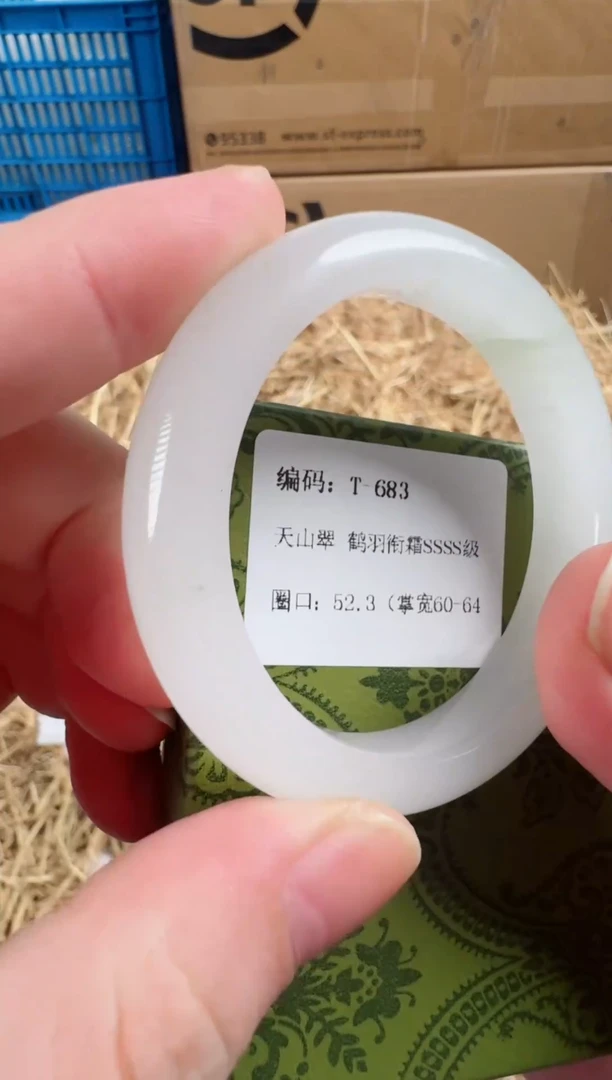 未镶嵌手镯石英质玉T-683