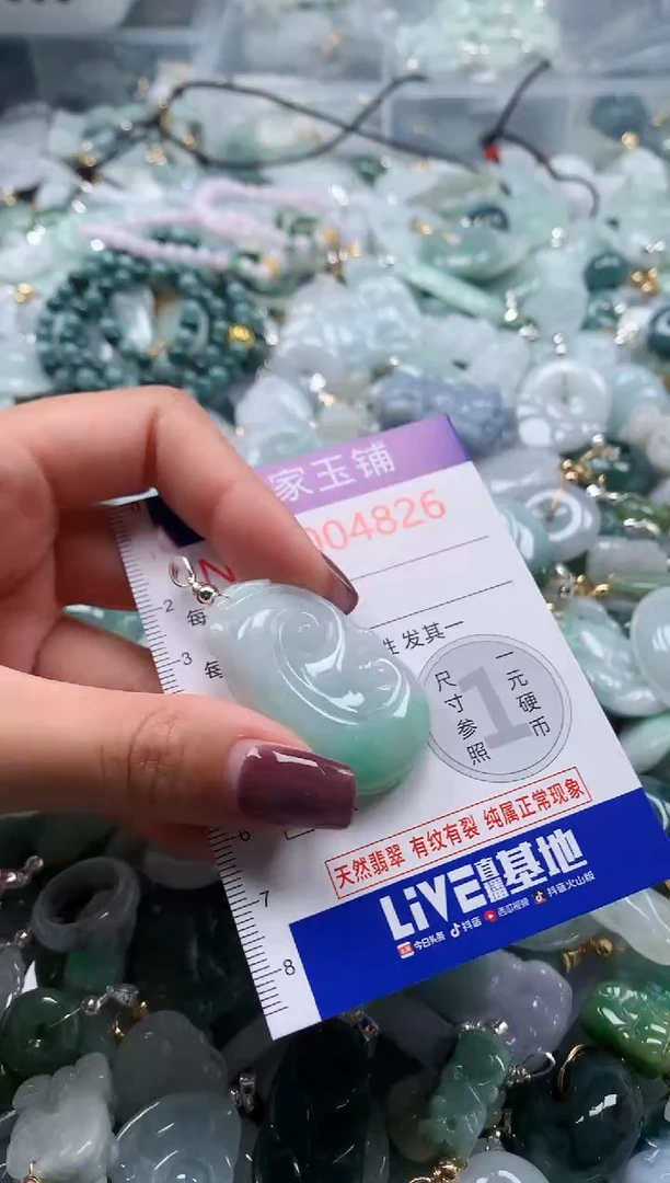翡翠未镶嵌吊坠(不含链)4826