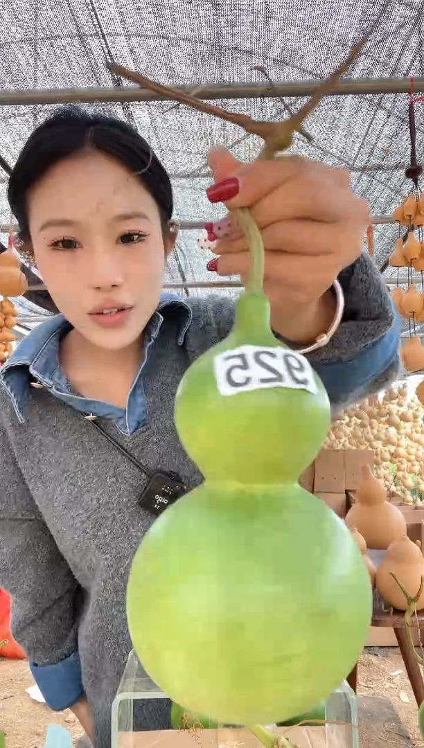 925天然葫芦摆件 一物一拍龙头不保售后微瑕疵