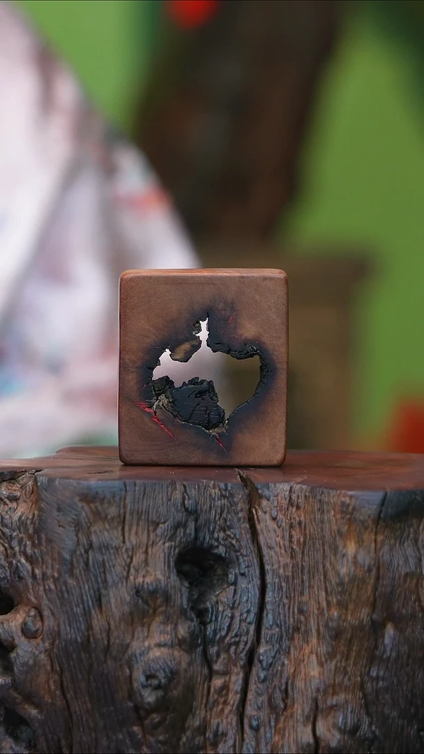 天然雷击枣木雷焦随型2