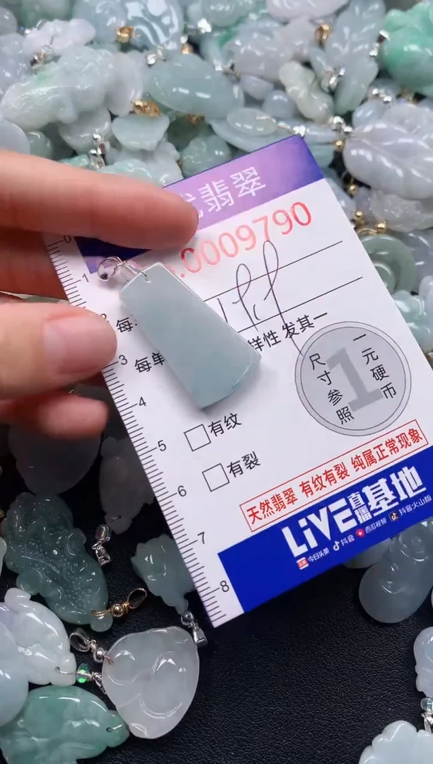 颈饰未镶嵌翡翠9790