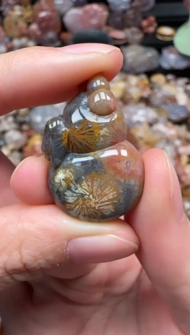 颈饰未镶嵌硅化珊瑚（珊瑚玉）827