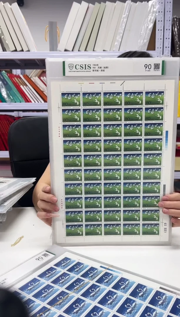 天鹅大版票 信泰评级90