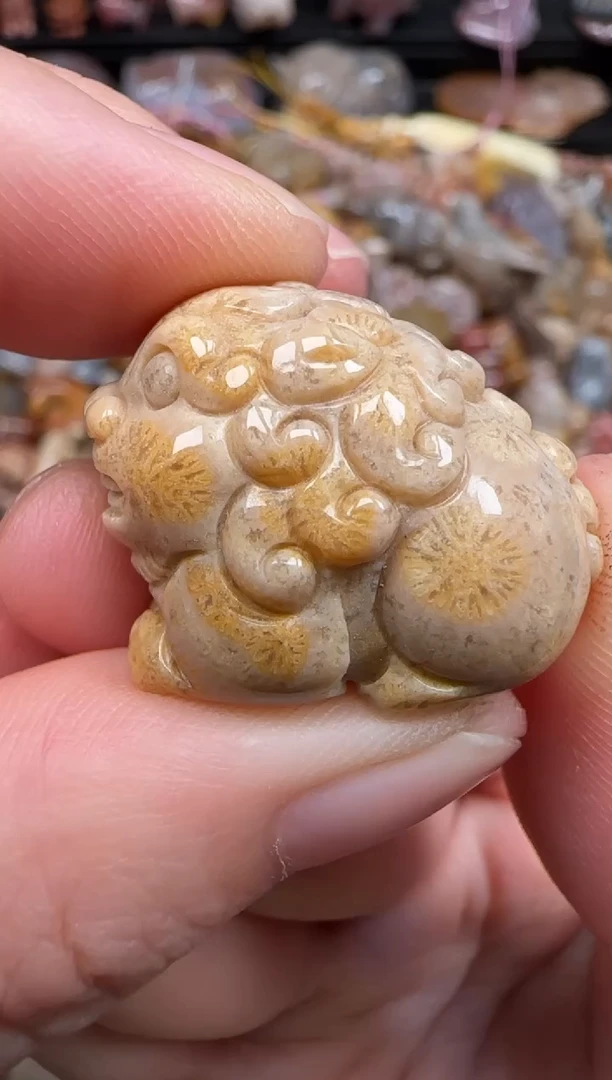 硅化珊瑚（珊瑚玉）未镶嵌颈饰490