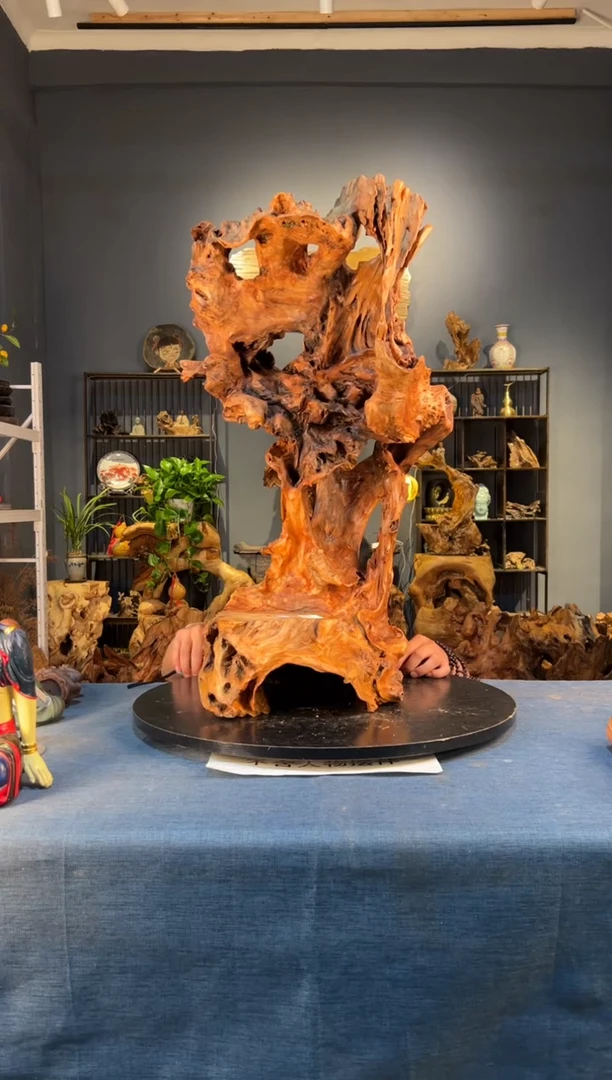 木 卢师傅根艺作品（不包含人物摆件）