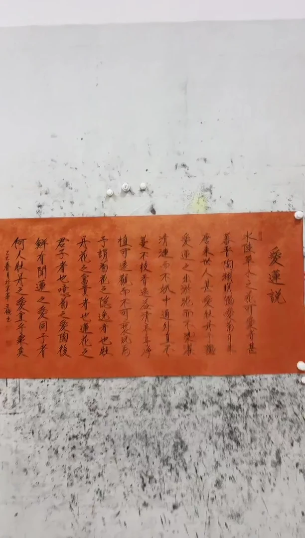 书法金阳宠粉福利