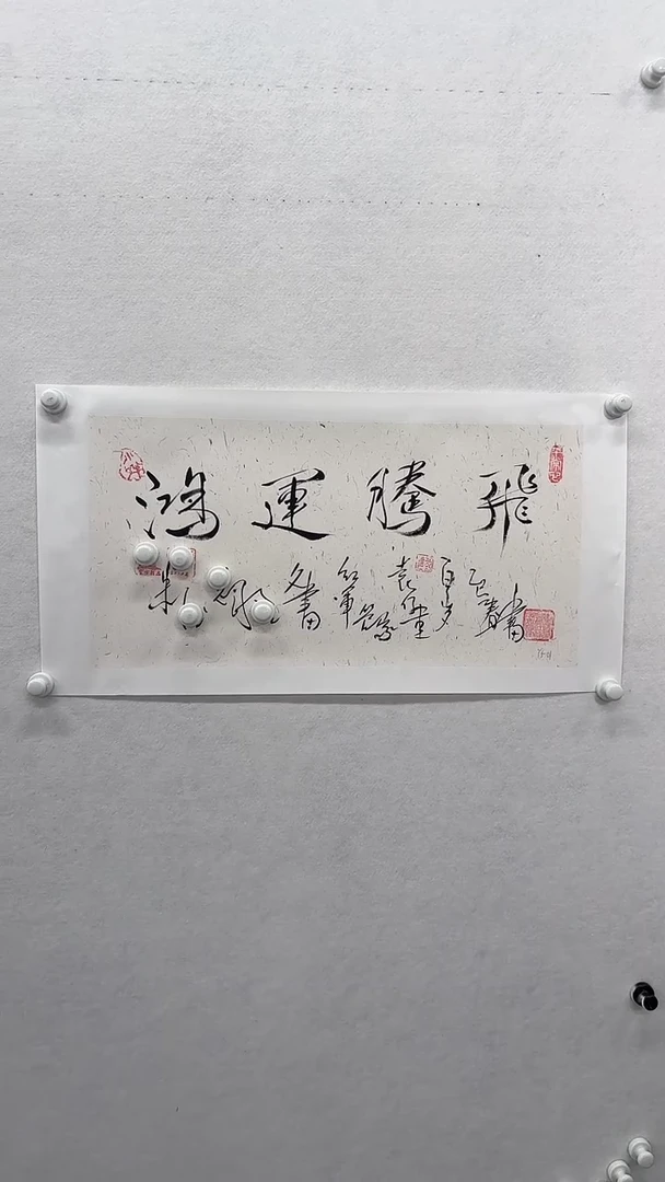 书法 悲鸿艺术/袁老师/书法