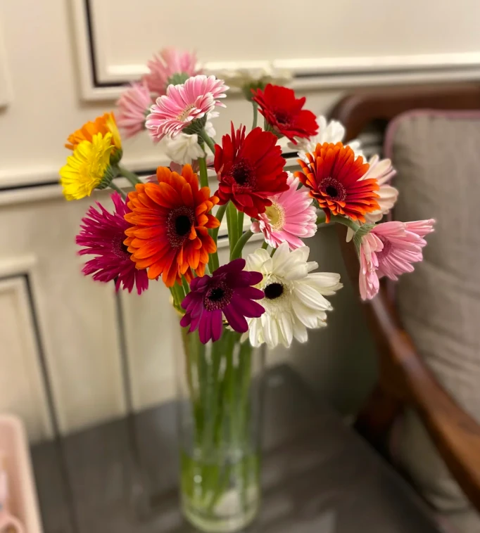 【随机色弗朗花】新粉浮力  颜值高家居鲜花水养