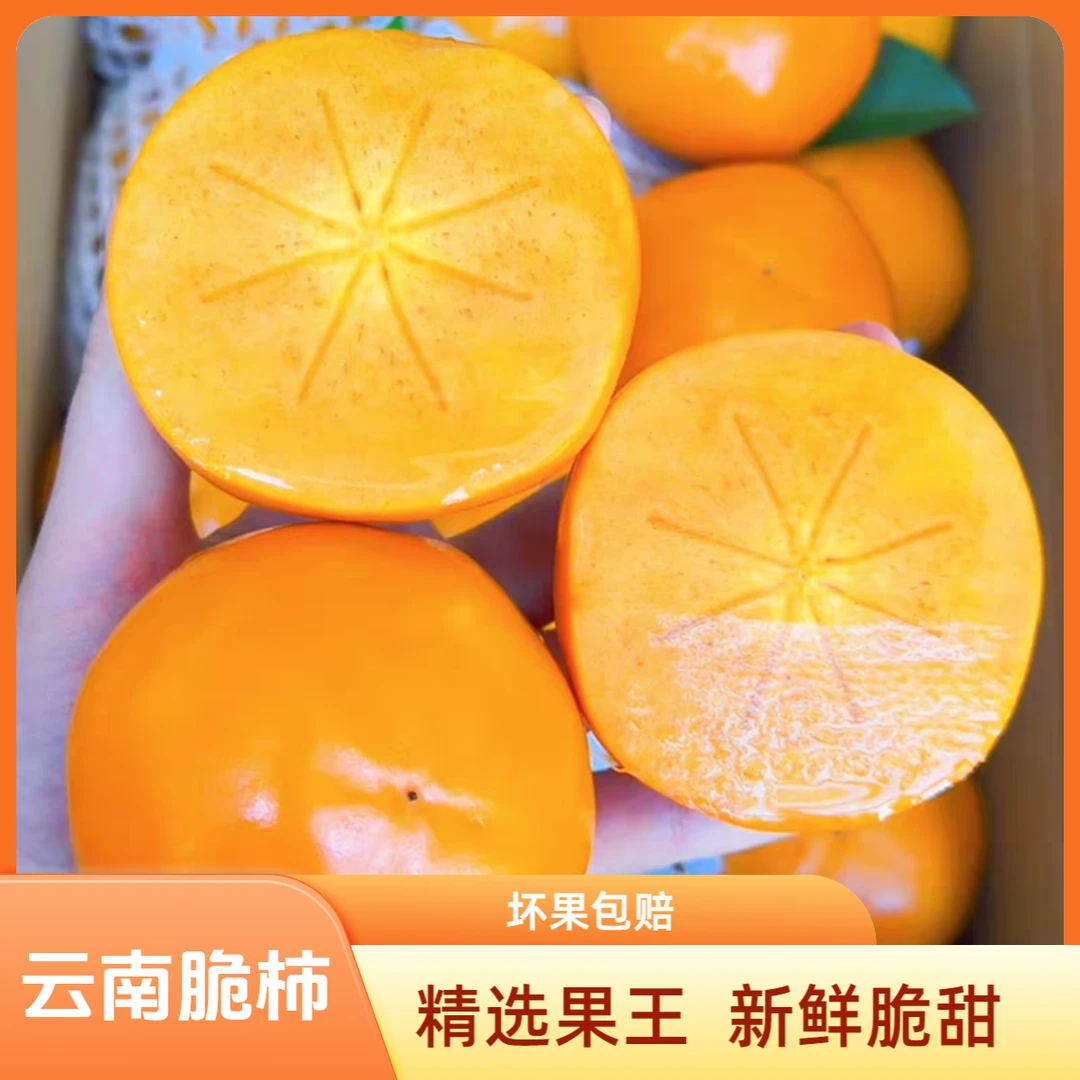 云南冰糖心巧克力脆甜柿子（果王）现摘现发