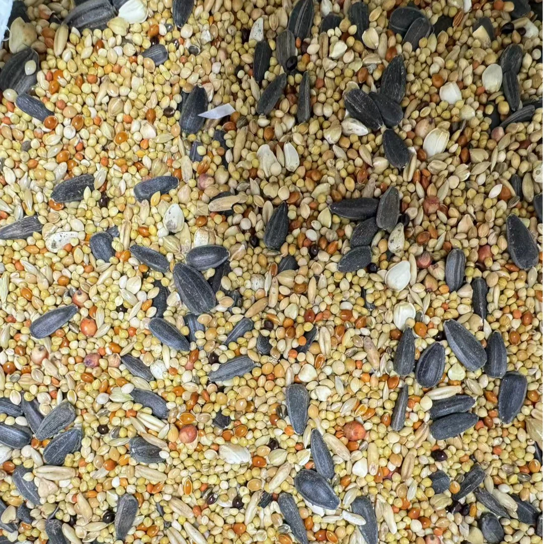 精品中小型鹦鹉混合粮