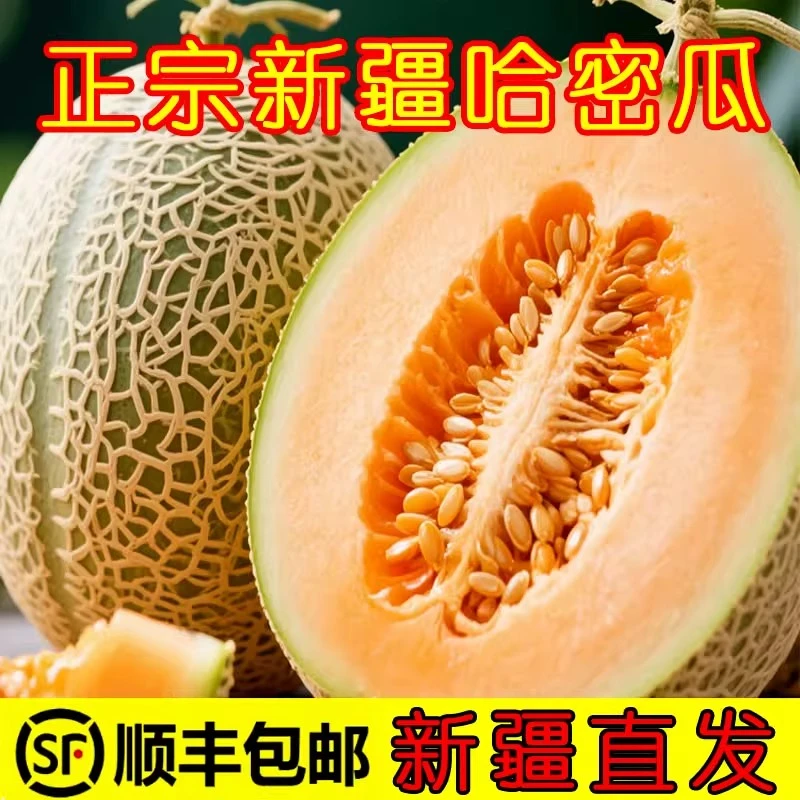 新疆西州蜜25号哈密瓜蜜糖流心果肉细腻无正宗新疆大哈密瓜