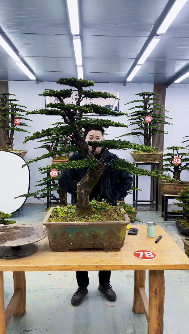 以实际为准000000000