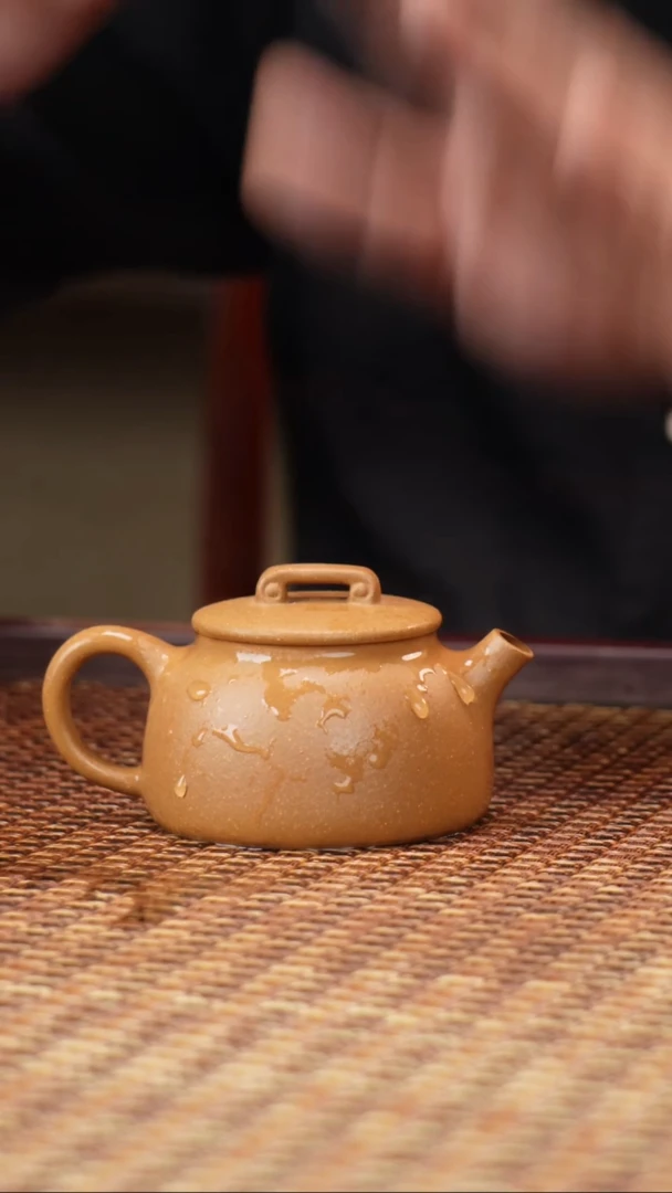 茶壶紫砂汀禾紫砂老葵黄井栏