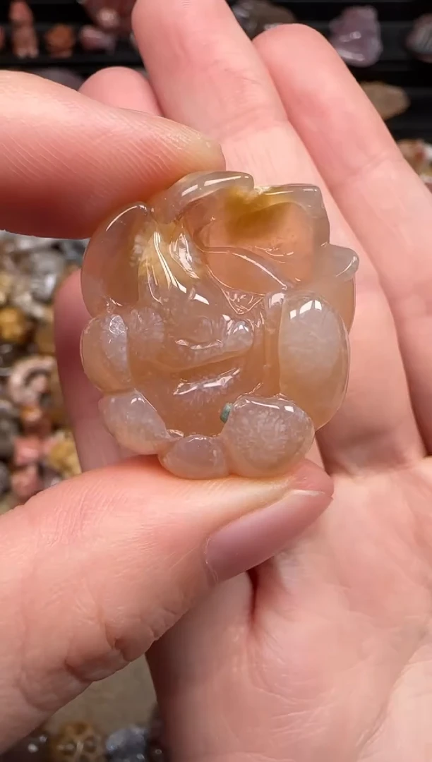 硅化珊瑚（珊瑚玉）未镶嵌颈饰576