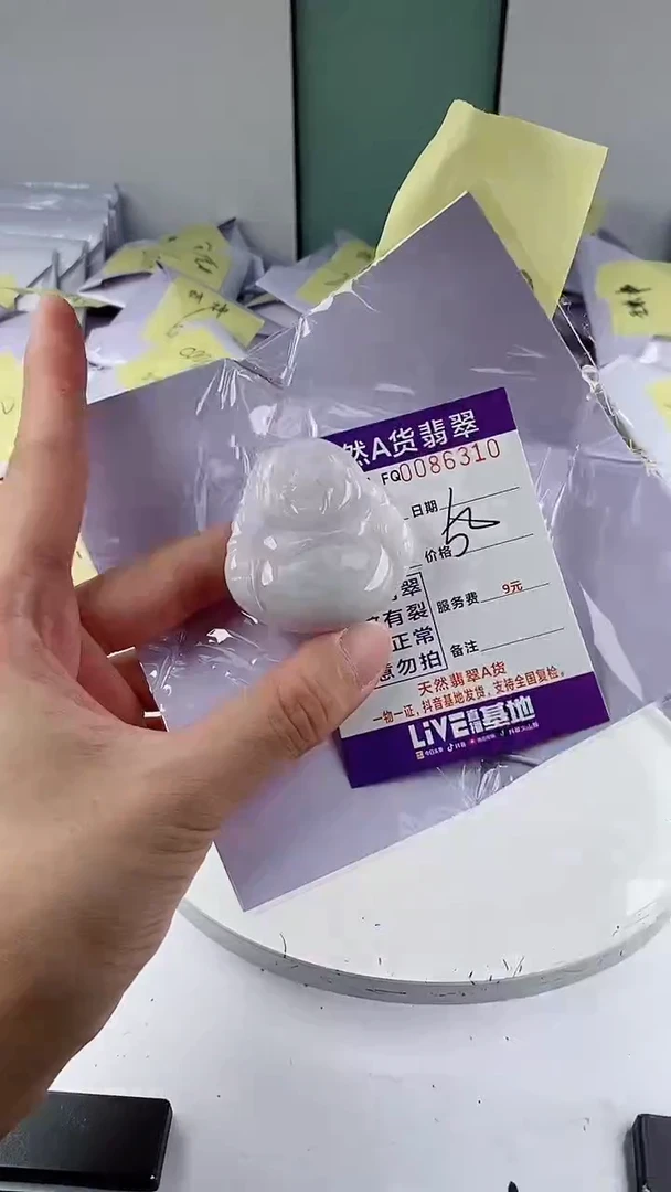 翡翠未镶嵌颈饰