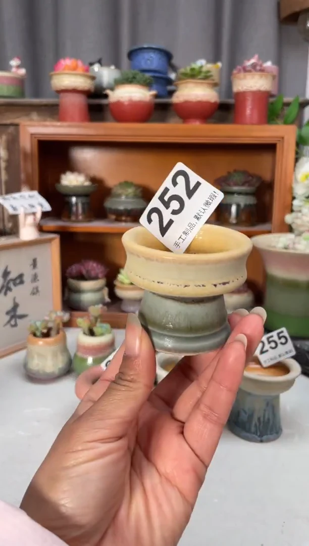 瓷片252福利中通快递 76779706844755