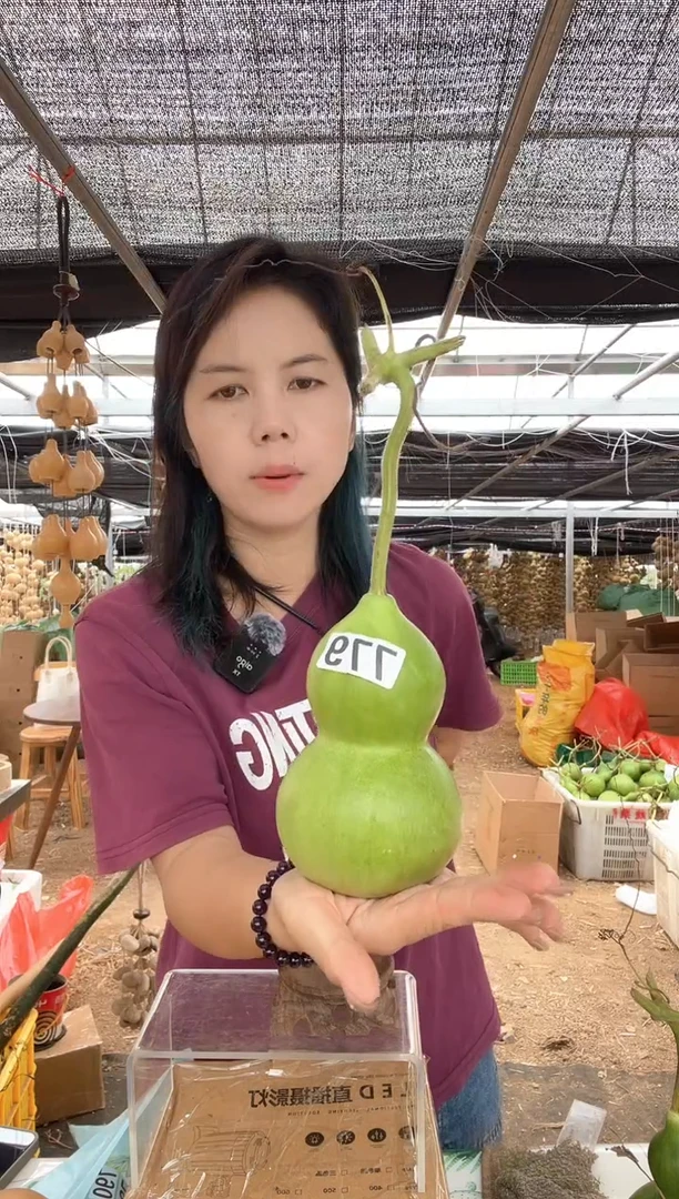 779天然葫芦摆件 一物一拍龙头不保售后