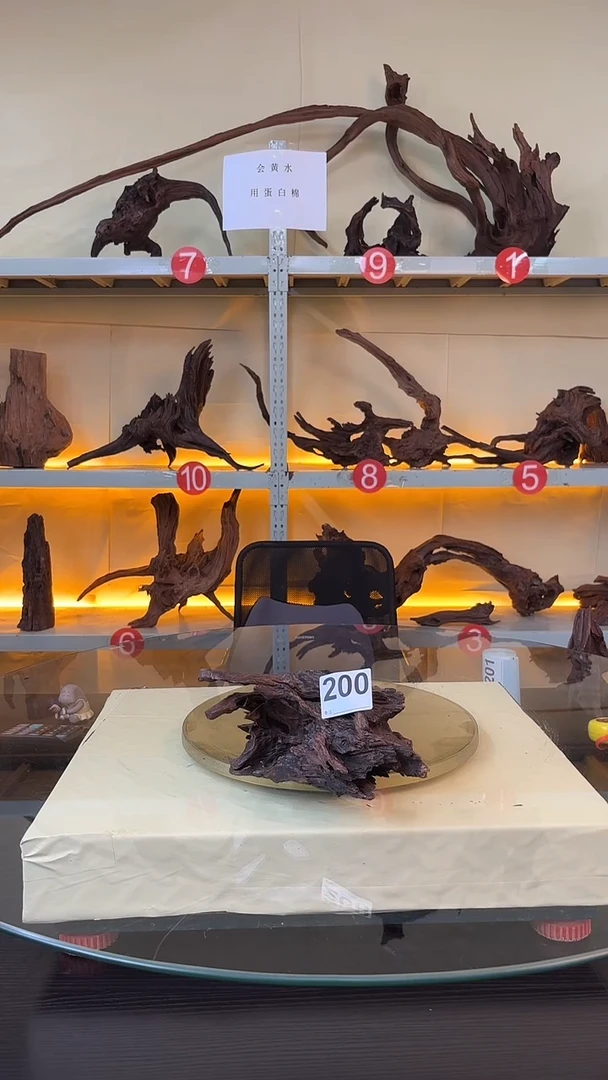 200云南紫釉 摆件 水族沉木料场直发 不需要煮 秒沉