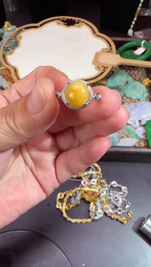 【闪购商品】翡翠颈饰未镶嵌拍照