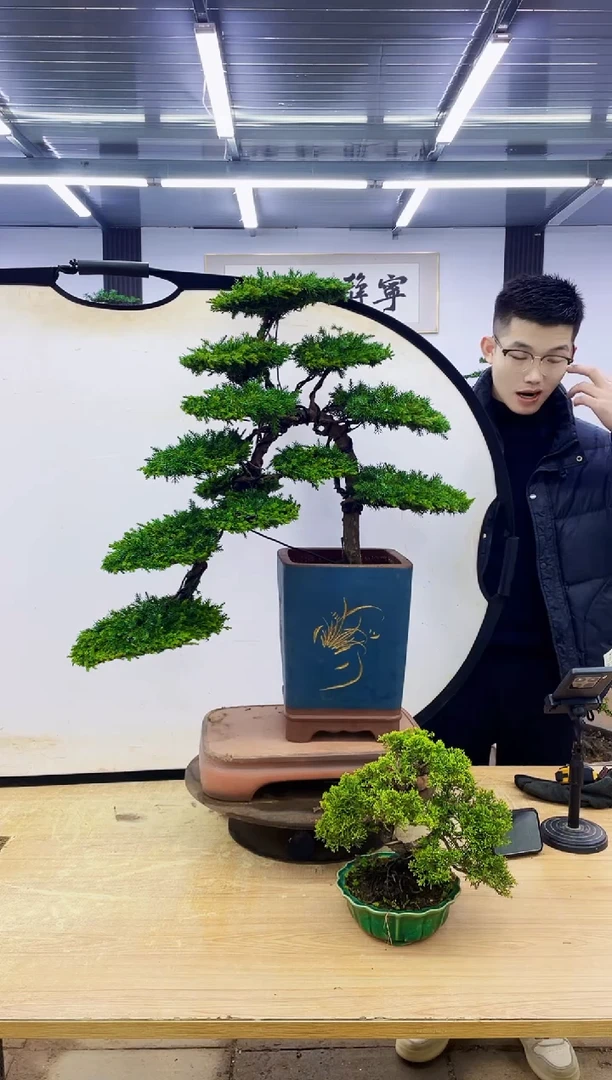 无花朵00000000000000000000