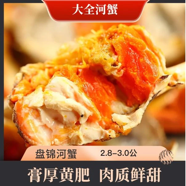 【活蟹】大全盘锦河蟹2.8-3.0两公 共8/10只