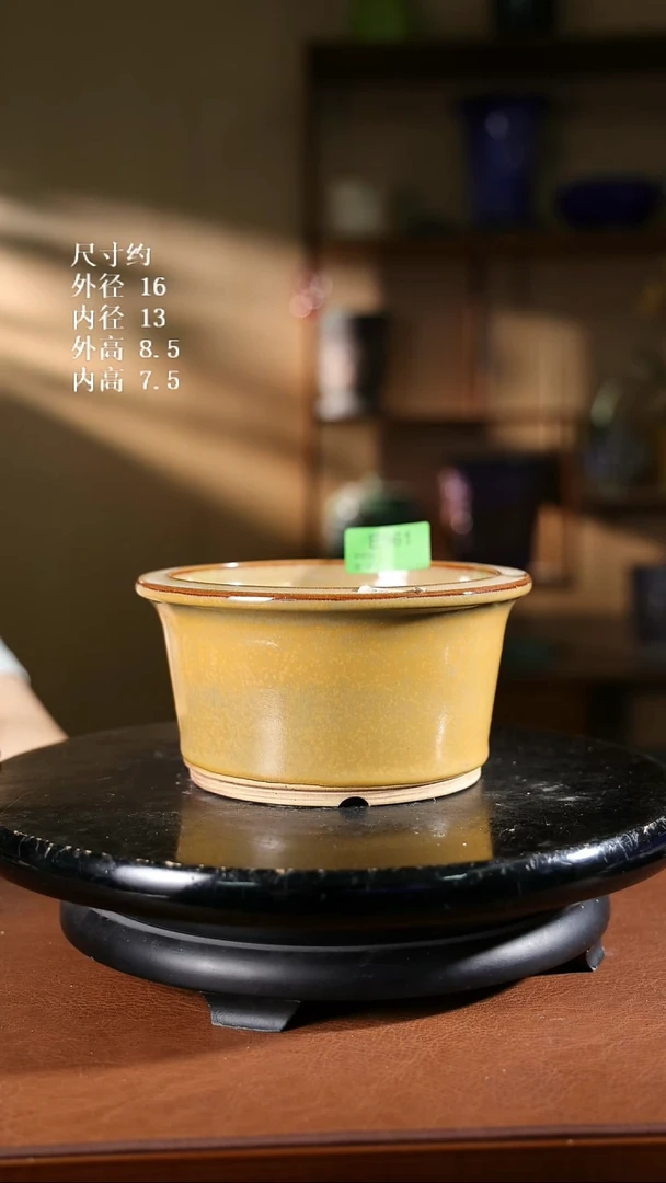 961    S1新款 小圆盆