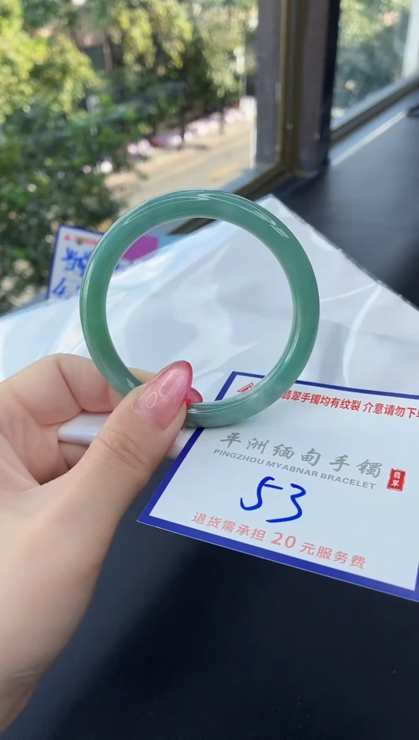 未镶嵌手镯翡翠1