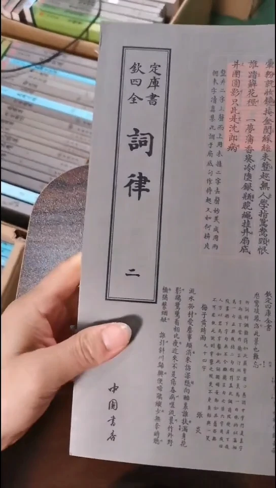 瑕疵四库词律 第二册