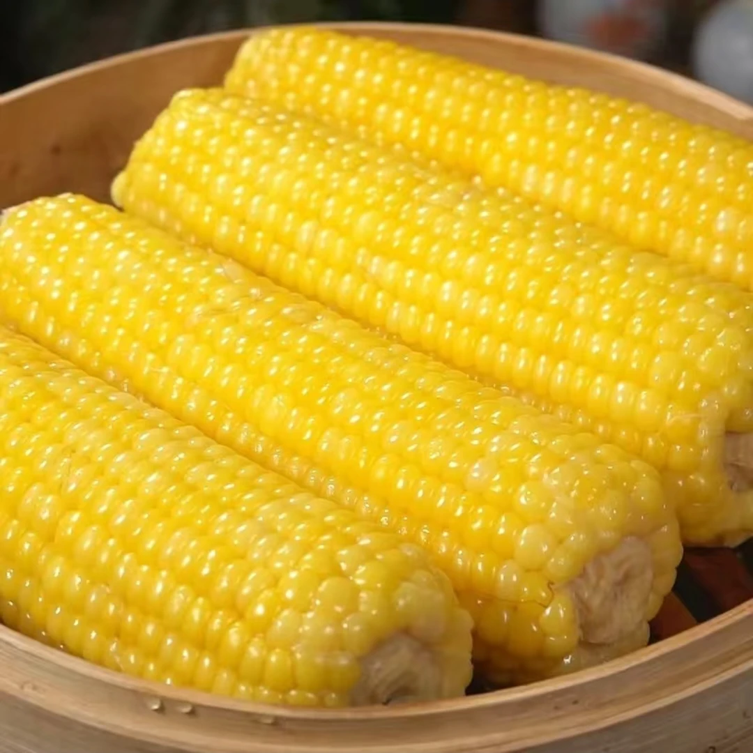 粘糯黄金玉米8根营养好吃甜糯拉丝批发价