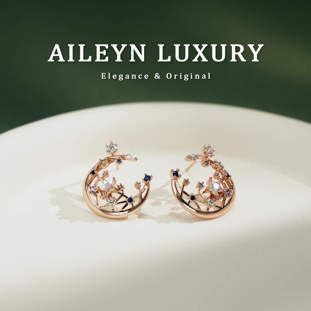 925银耳饰 Aileyn【星月同辉】精致镂空耳钉高级感设计师款秋冬上新