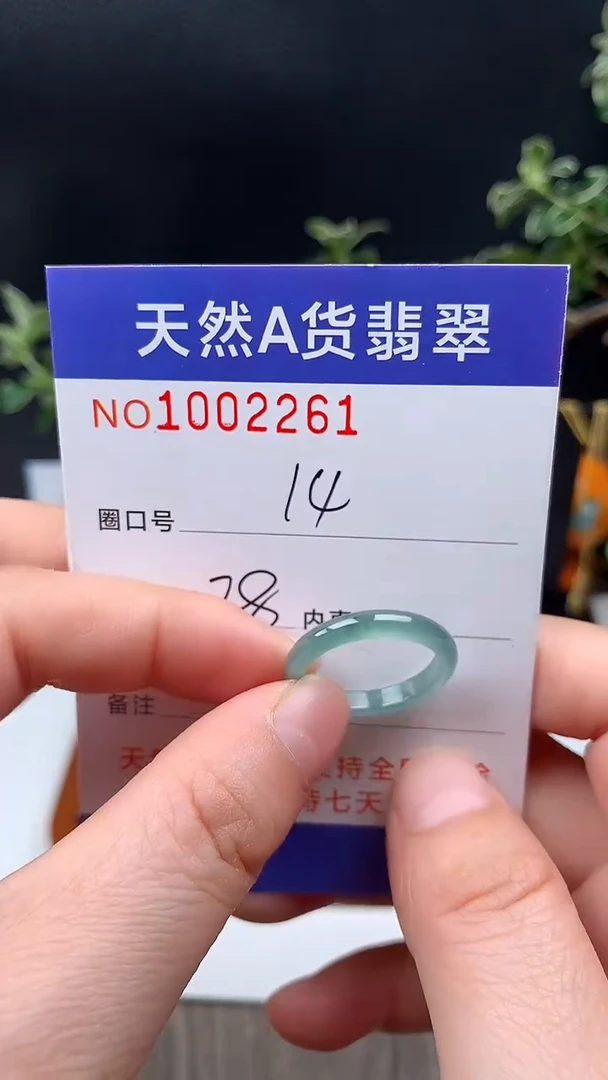 未镶嵌戒指翡翠14#