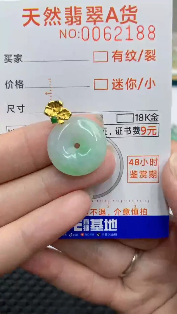 【闪购商品】翡翠颈饰银S925镶嵌            8