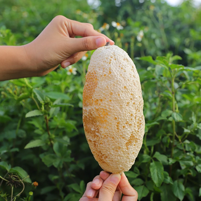 一物一拍云南小挂蜜 农家土蜂蜜蜂巢蜜百花蜜11/12