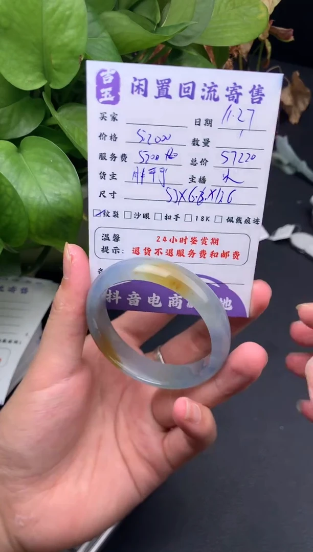 未镶嵌手镯翡翠手镯