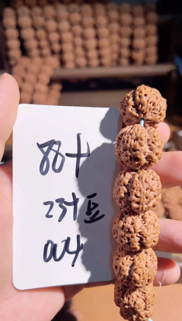 手串金刚菩提1**9大金刚004