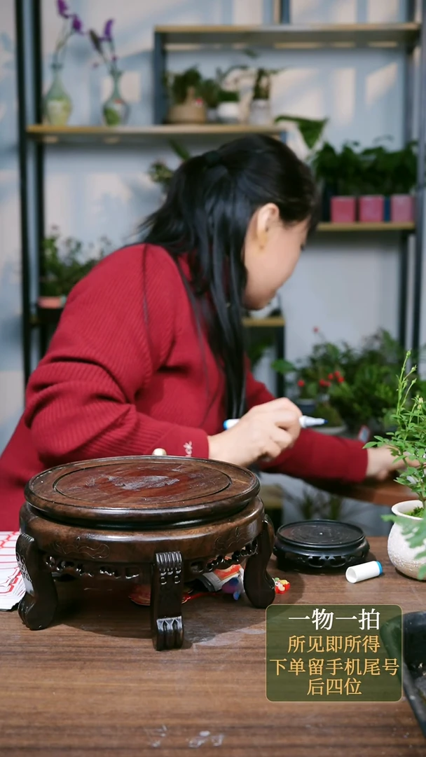 【闪购商品】3--9888紫金牛苔藓球一套