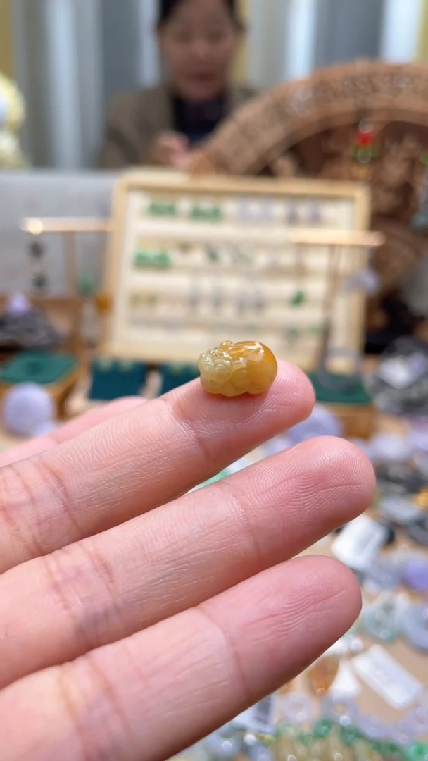 【闪购商品】翡翠颈饰未镶嵌貔貅