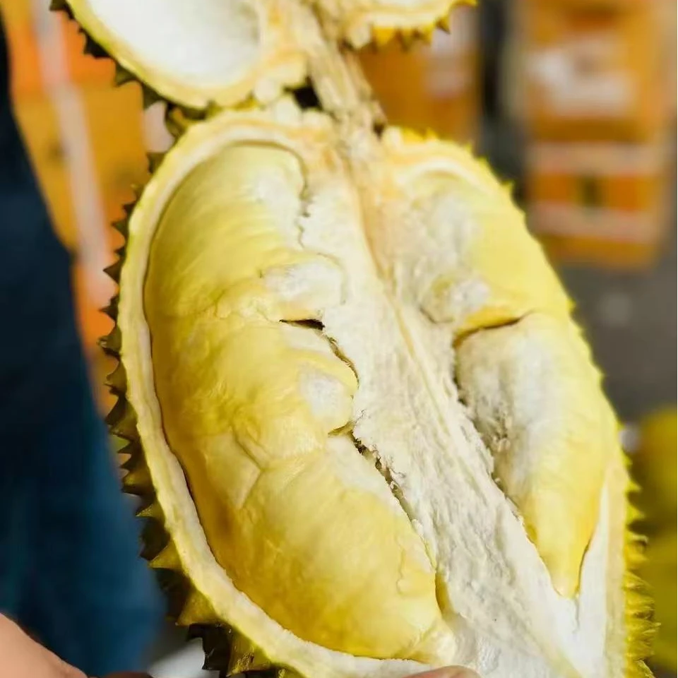 【金凤壹号】② 泰国树熟金枕A果 48.8元一斤 核小肉厚 新鲜榴莲一果一拍 顺丰包邮 5%运损金枕泰国东部