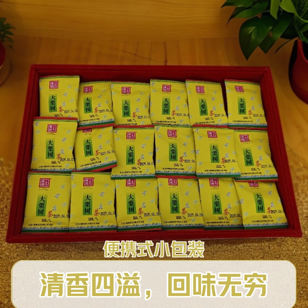 正宗云龙大栗树茶一级绿茶便携式出差旅行小包装酒店批发3g小茶包