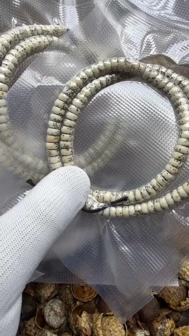 吊坠星月菩提7*3药片