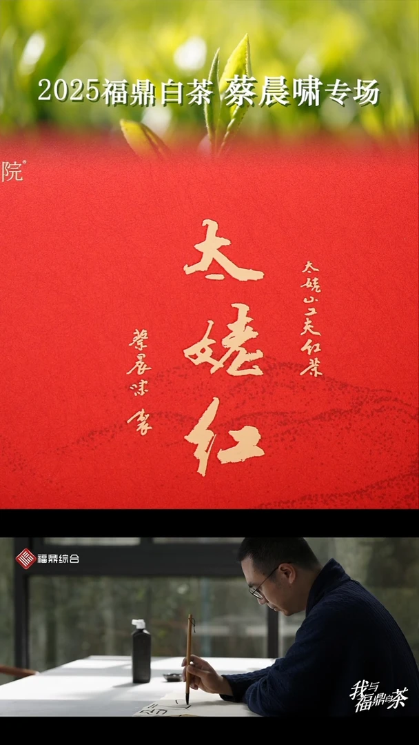 茶壶紫砂蔡晨啸 2025太姥红18泡礼盒装