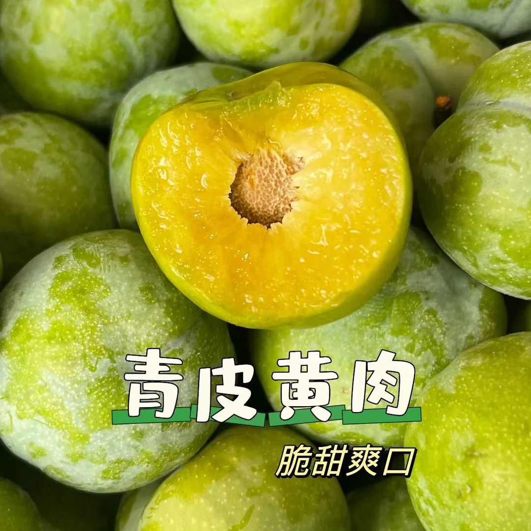 黄金翡翠李 新鲜现摘 空运巫山脆李 精品大果高山脱骨离核脆李重庆市