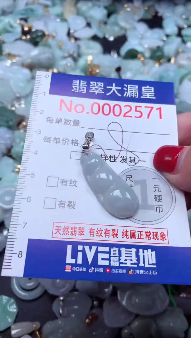 颈饰未镶嵌翡翠2571