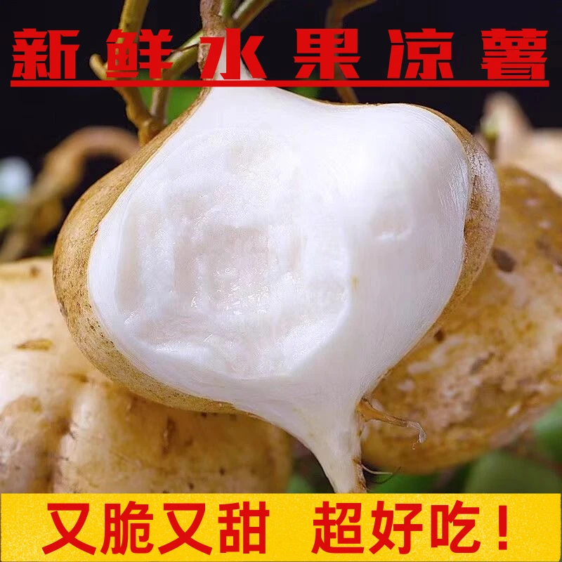 正宗现挖凉薯萝卜沙土新鲜脆甜地瓜凉薯现挖自种蔬菜当季应季水果