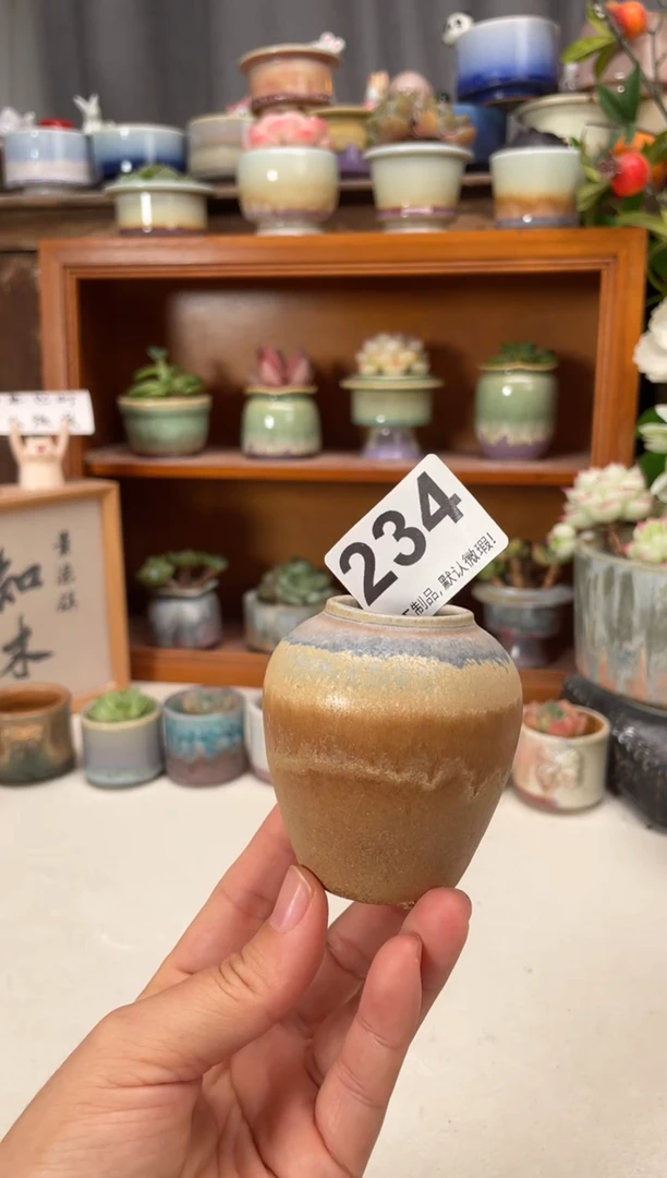 瓷片234知木小芳花盆直播编号