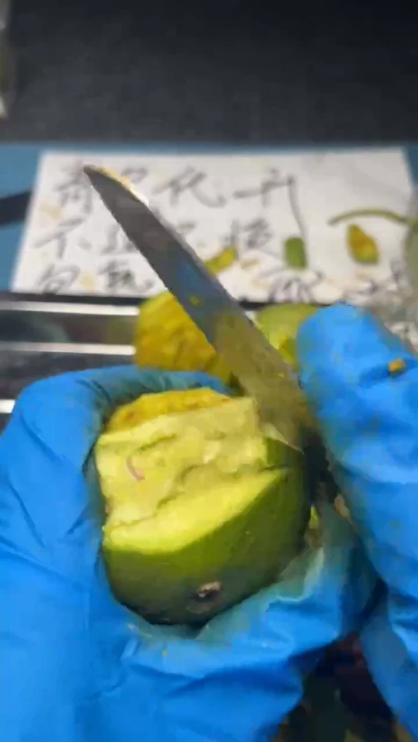 桃核把件定制 蛤蟆头青皮 bu退bu 换看好下单