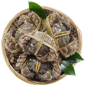 苏州精品/大胖蟹/每只2.0两/12只装活蟹鲜活到家礼盒装