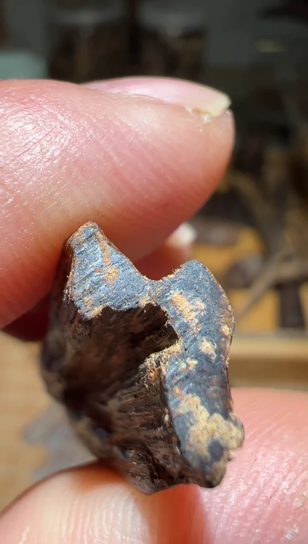 【闪购商品】沉香沉香碎屑文莱3.3克