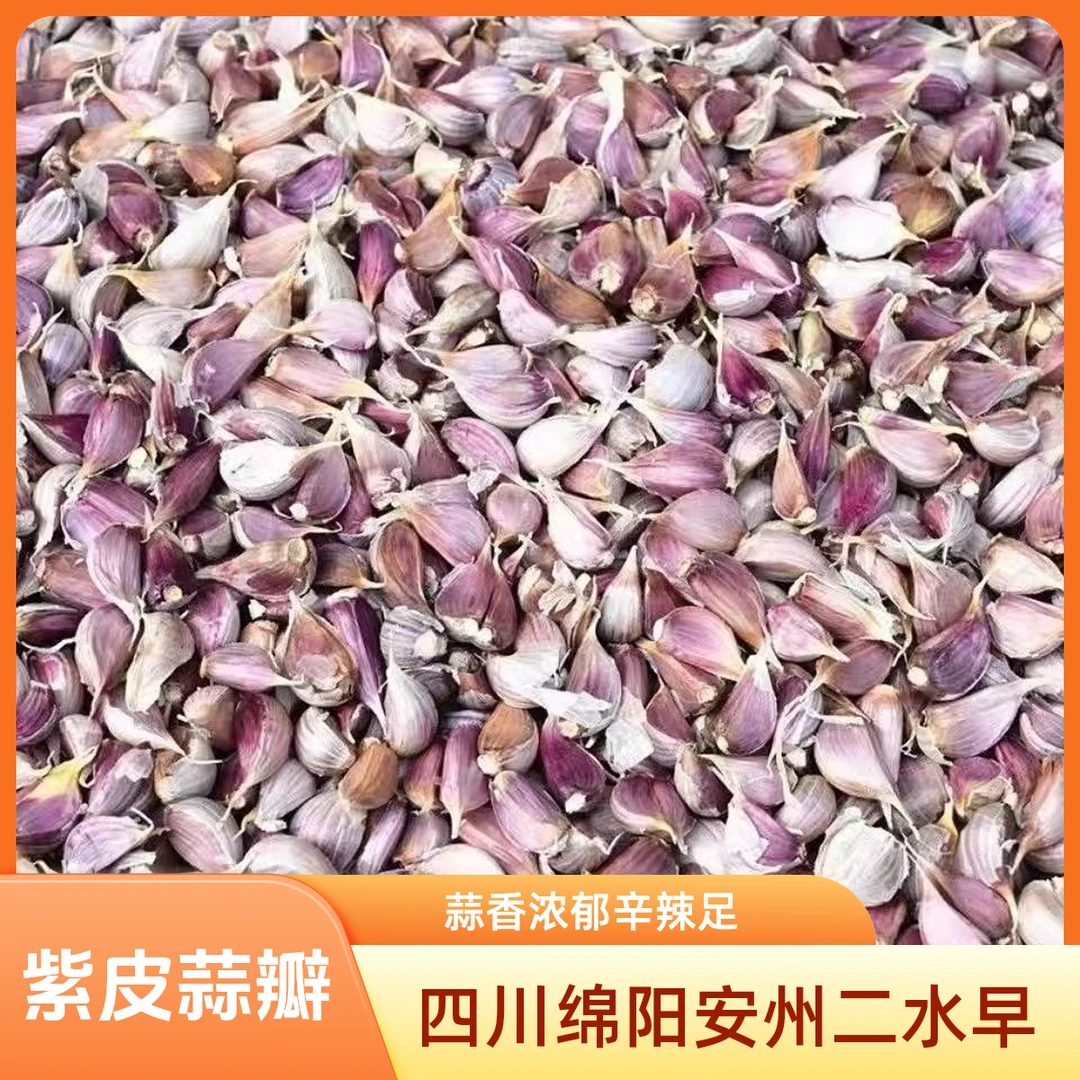 四川绵阳安州大蒜{二水早}紫皮蒜瓣苔蒜食用蒜香味浓郁辛辣味足